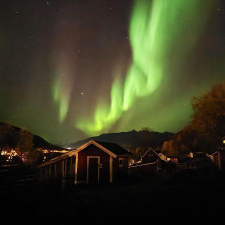 Koselig Dyregard I Tromso Hotel Ngoại thất bức ảnh