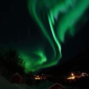 Koselig Dyregard I Tromso Hotel Ngoại thất bức ảnh