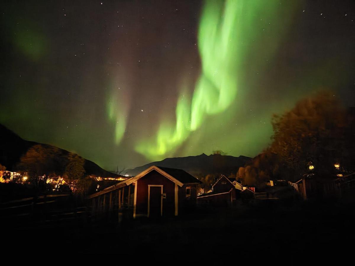 Koselig Dyregard I Tromso Hotel Ngoại thất bức ảnh